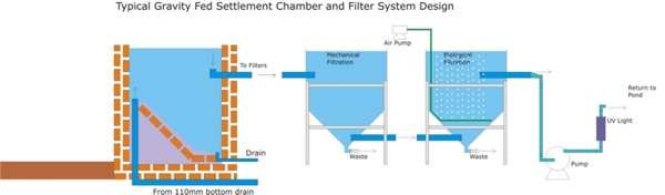 Typical Koi pond gravity fed filter system Typical Koi pond gravity fed filter system