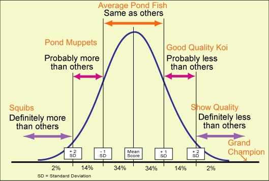 bell curve